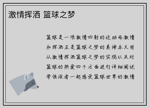 激情挥洒 篮球之梦